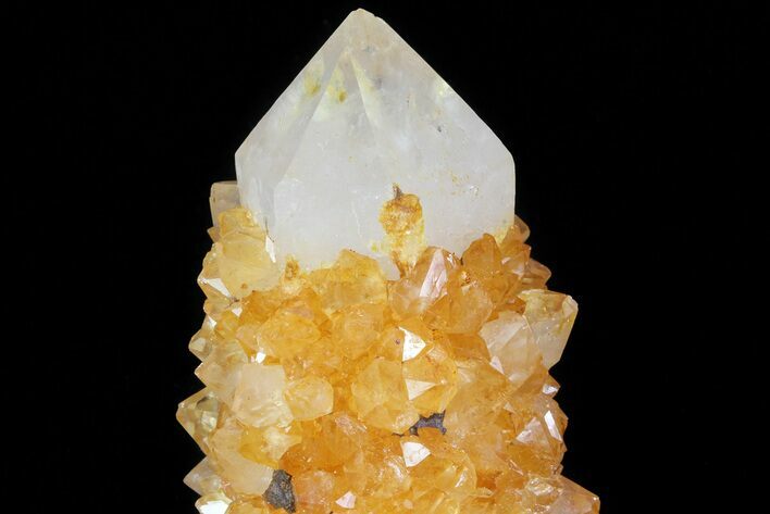 Sunshine Cactus Quartz Crystal - South Africa #80182